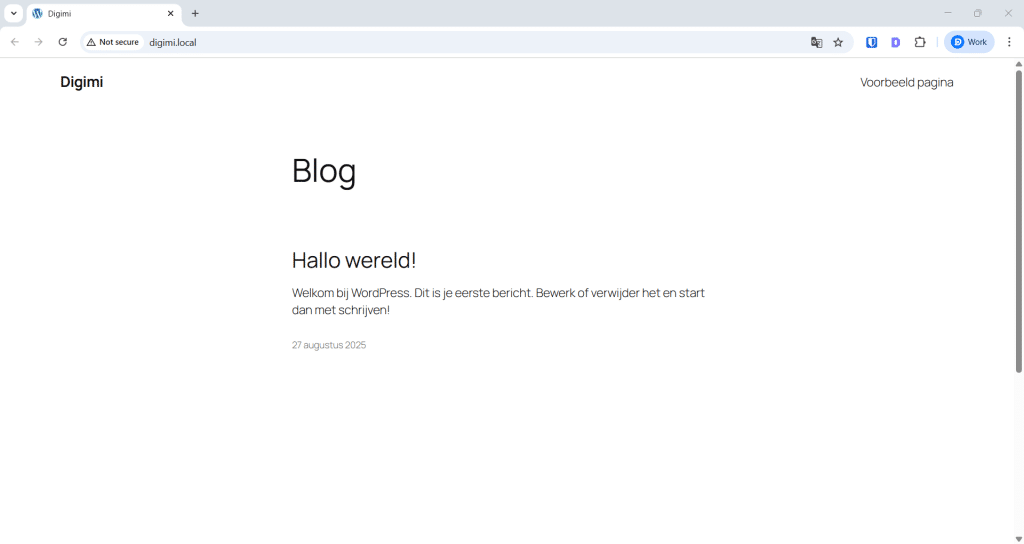 Standaard WordPress website