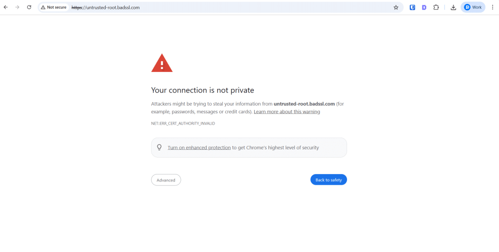 Your connection is not private error